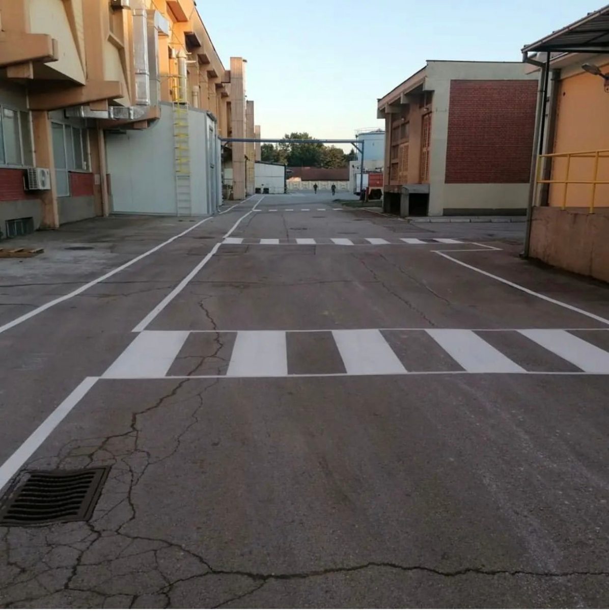 Philip Morris Operations - 3