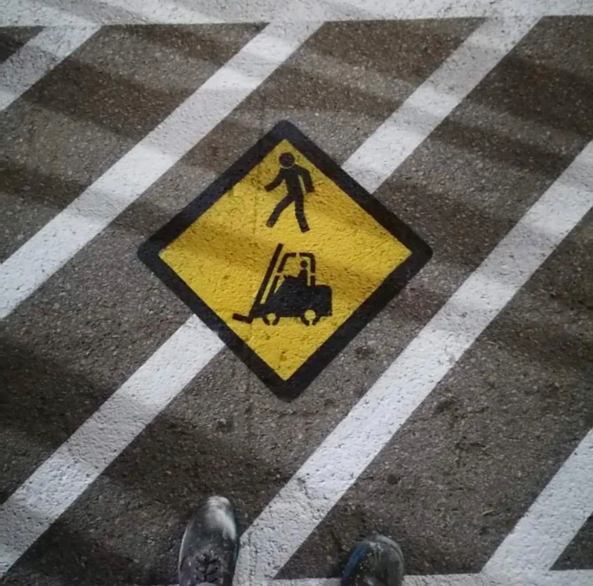 Philip Morris Operations - 4